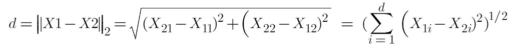 Euclidean Measure