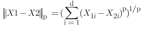 Minkowski Measure